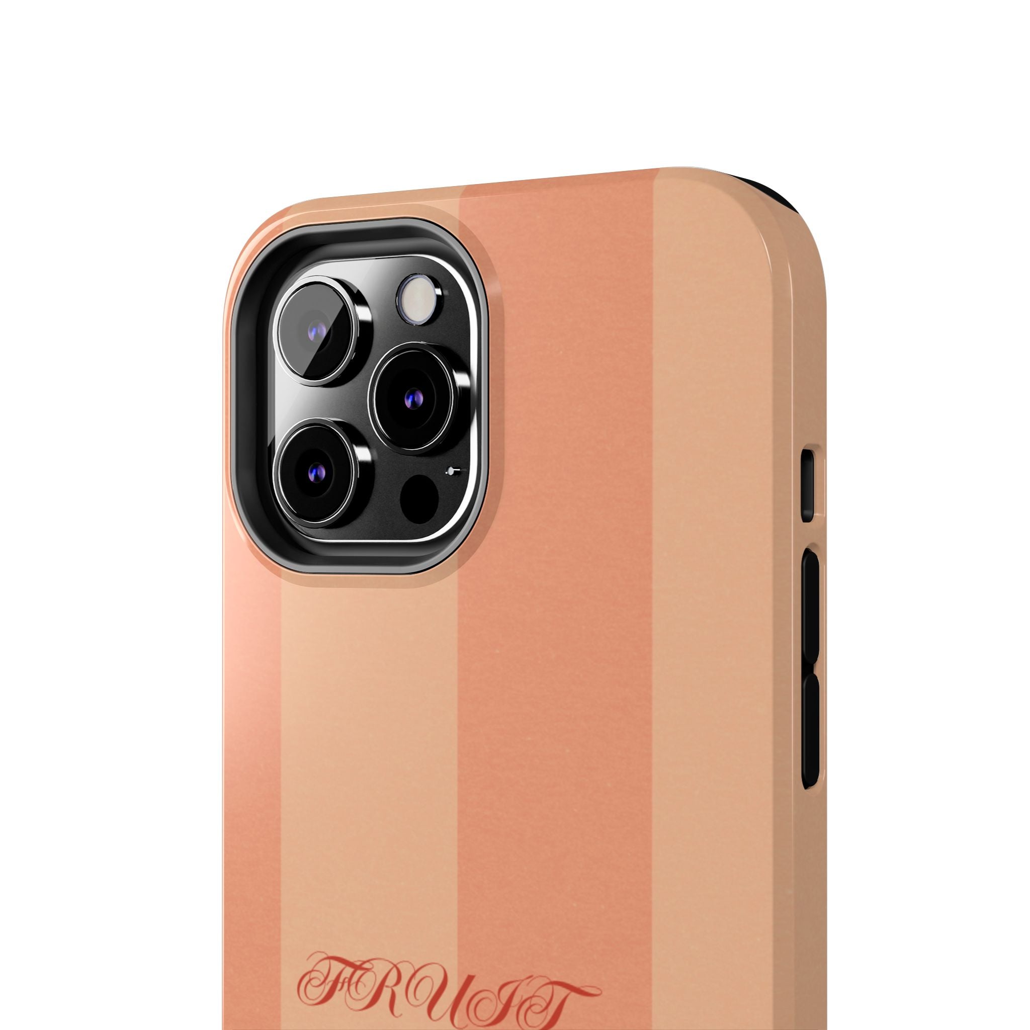 Muted Terracotta Fruit Takes Time Phone Case