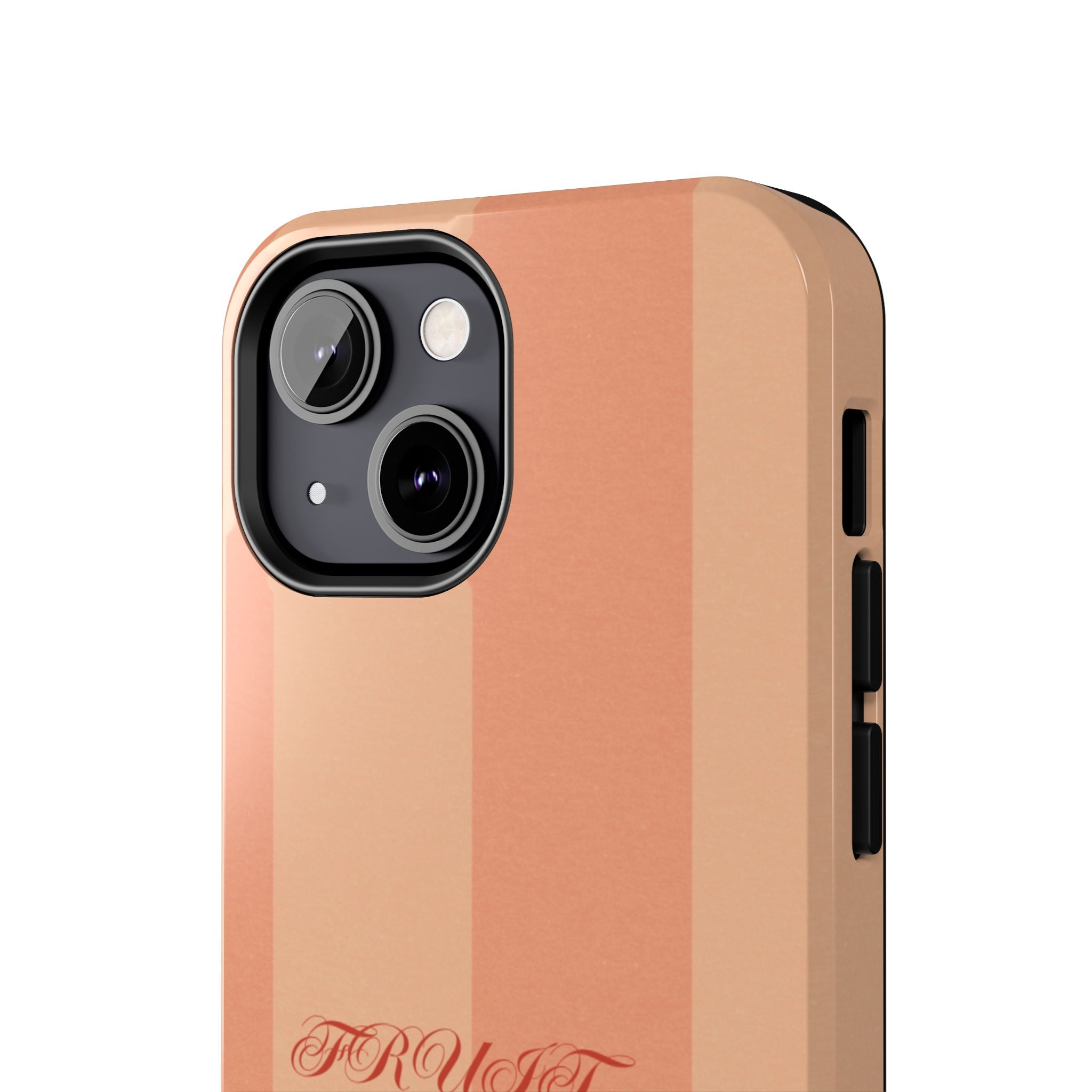 Muted Terracotta Fruit Takes Time Phone Case