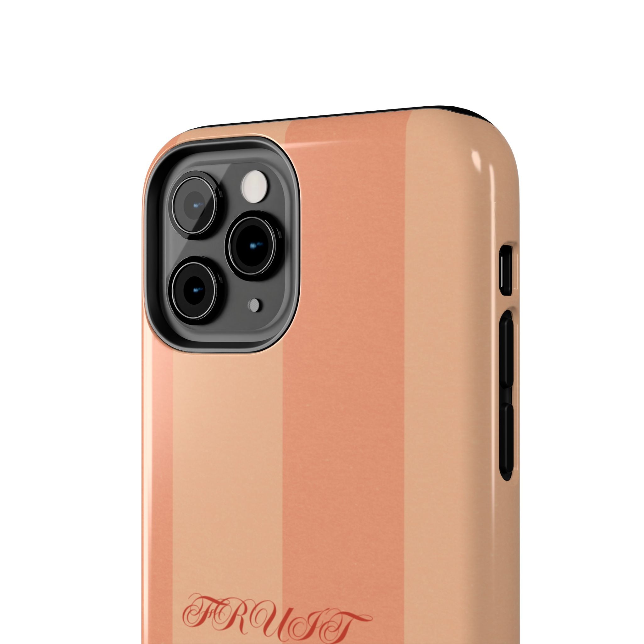 Muted Terracotta Fruit Takes Time Phone Case